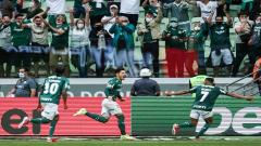 Palmeiras fans celebrating a goal